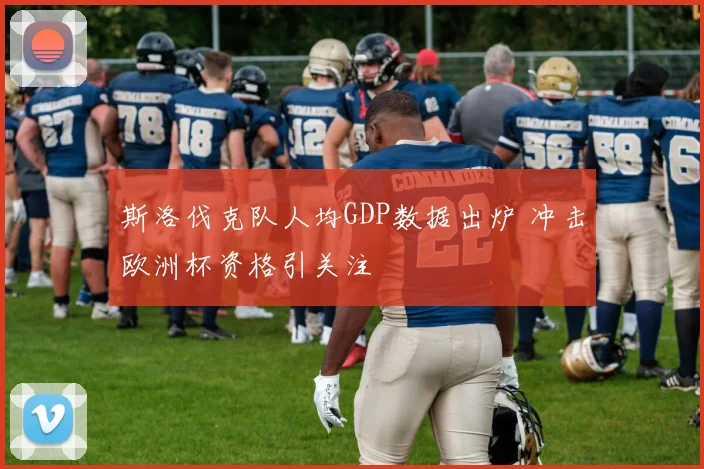 斯洛伐克队人均GDP数据出炉 冲击欧洲杯资格引关注
